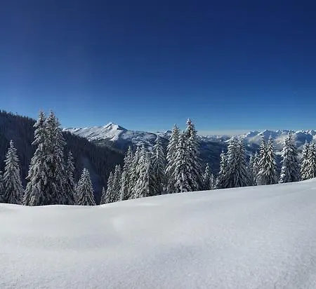 Apartment Juwel Reith Reith im Alpbachtal