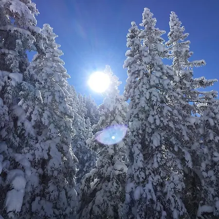 Juwel Reith Reith im Alpbachtal